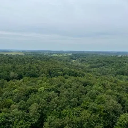 Am Südwesthorizont App 185 *