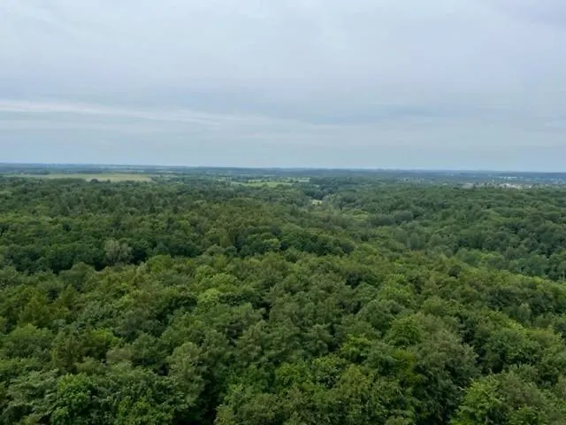 Am Südwesthorizont App 185 *